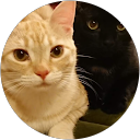 やまもと profile picture